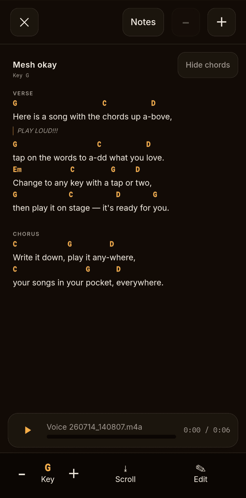The stage view with a backing-track audio player docked below the chord chart